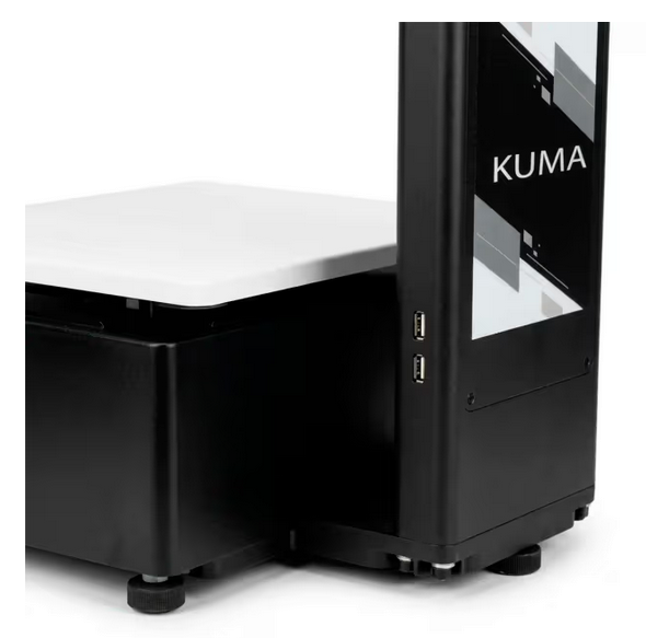 Balanza Aurora Kuma Con IA - Imagen 3